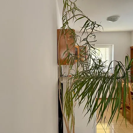Mount Family Apartment