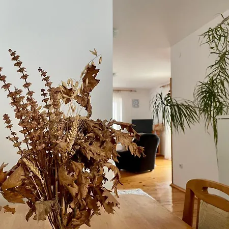 Mount Family Appartement Zlatibor