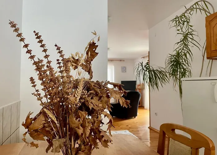 Mount Family Апартаменты Златибор